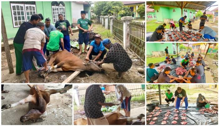 KEKOMPAKAN  PELAKSANAAN QURBAN BAGI  KELUARGA  BESAR  MAN 1 BUNGO 1444 H/ 2023 M