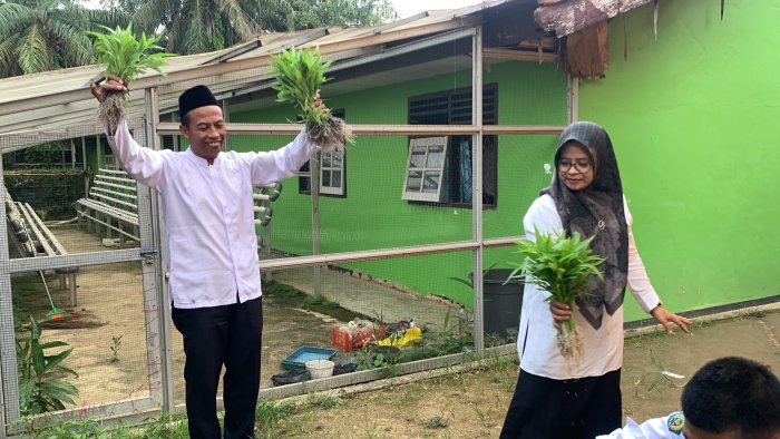 MAN 1 Bungo Kembangkan Kurikulum Cinta Lewat Budidaya Tanaman Organik