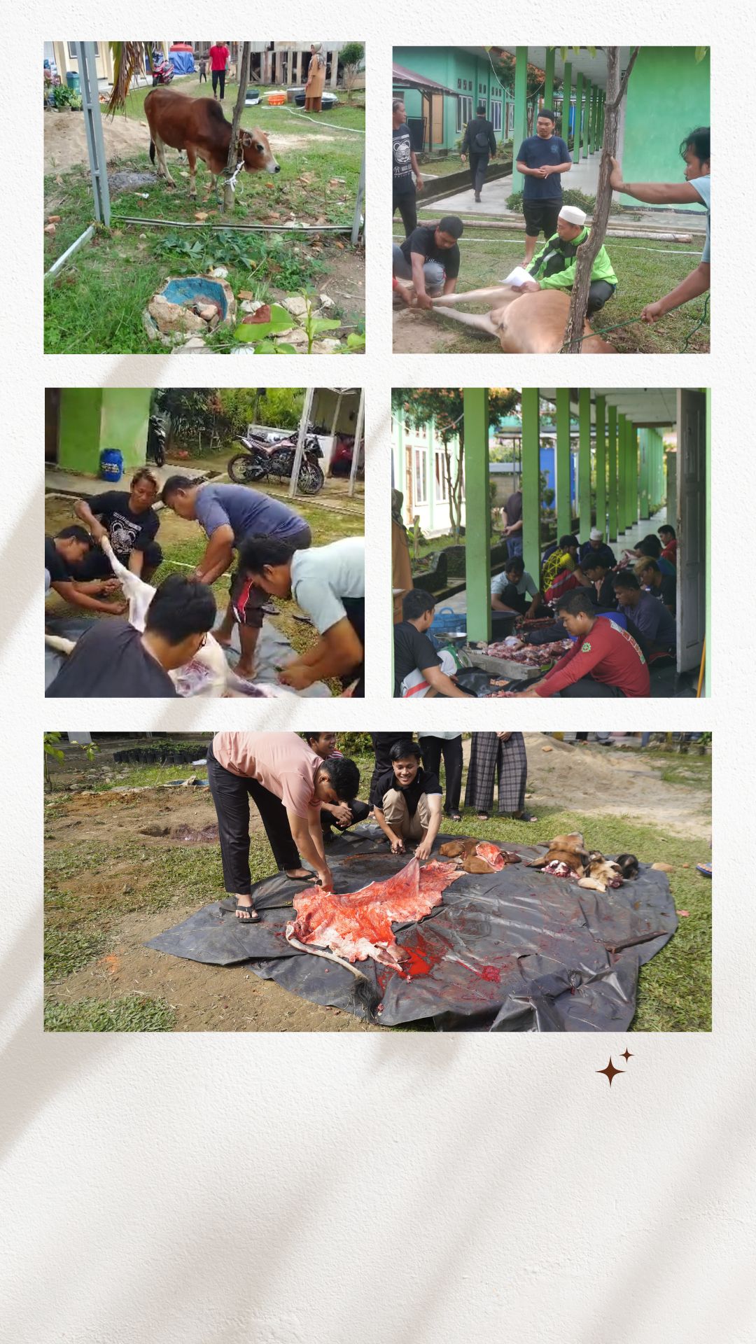 PENYEMBELIHAN HEWAN QURBAN KE-8 TAHUN 2024 M/ 1445 H MAN 1 BUNGO PLUS KETERAMPILAN SELESAI