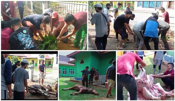 POTONG 2 EKOR SAPI DAN 1 EKOR KAMBING QURBAN MAN 1 BUNGO TAHUN 1442 H/2021 M