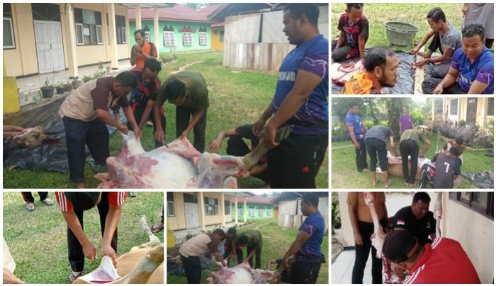 PENYEMBELIHAN HEWAN QURBAN MAN 1 BUNGO PLUS KETERAMPILAN TAHUN 1443 H/2022 M