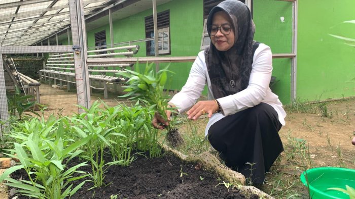 MAN 1 Bungo Gelar Panen Raya Tanaman Organik Berbasis Limbah