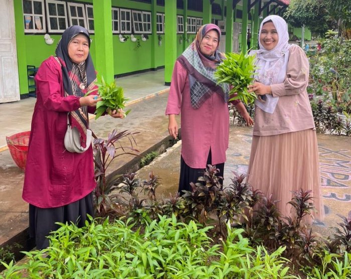 Panen Kangkung Organik Warnai Pagi di Taman Kelas