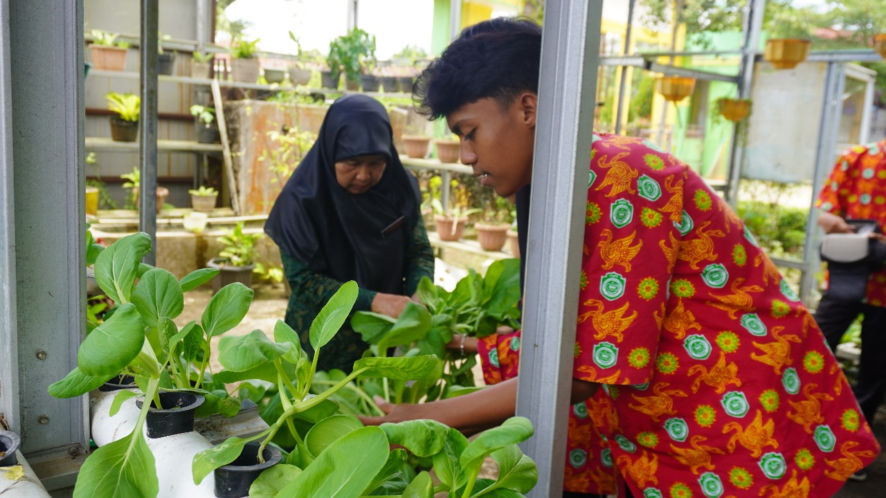 PANEN RAYA HIDROPONIK MAN 1 BUNGO PLUS KETERAMPILAN