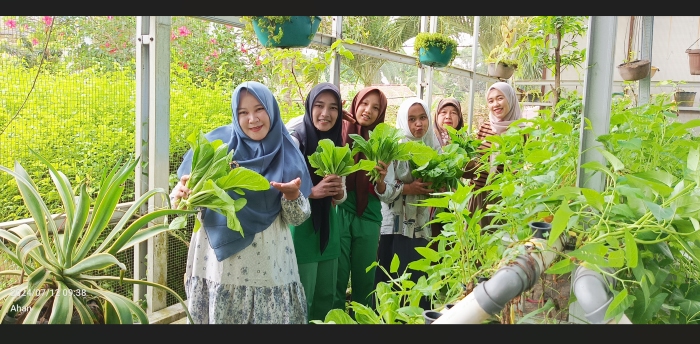 PANEN HASIL TANAMAN HIDROPONIK MAN 1 BUNGO PLUS KETERAMPILAN