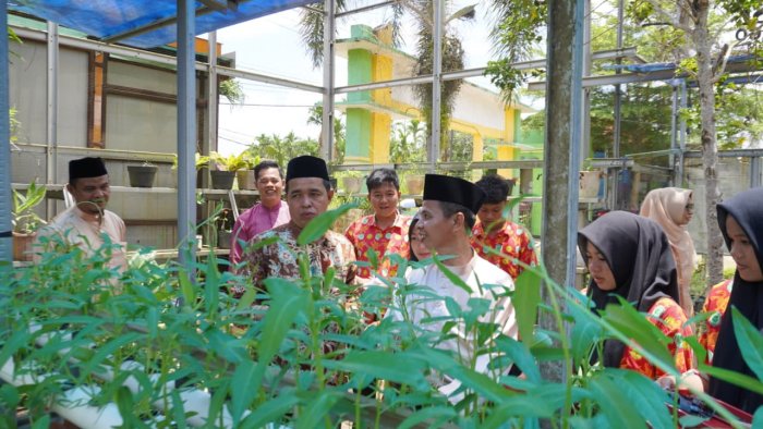 Program Hidroponik MAN 1 Bungo Tanamkan Cinta Lingkungan
