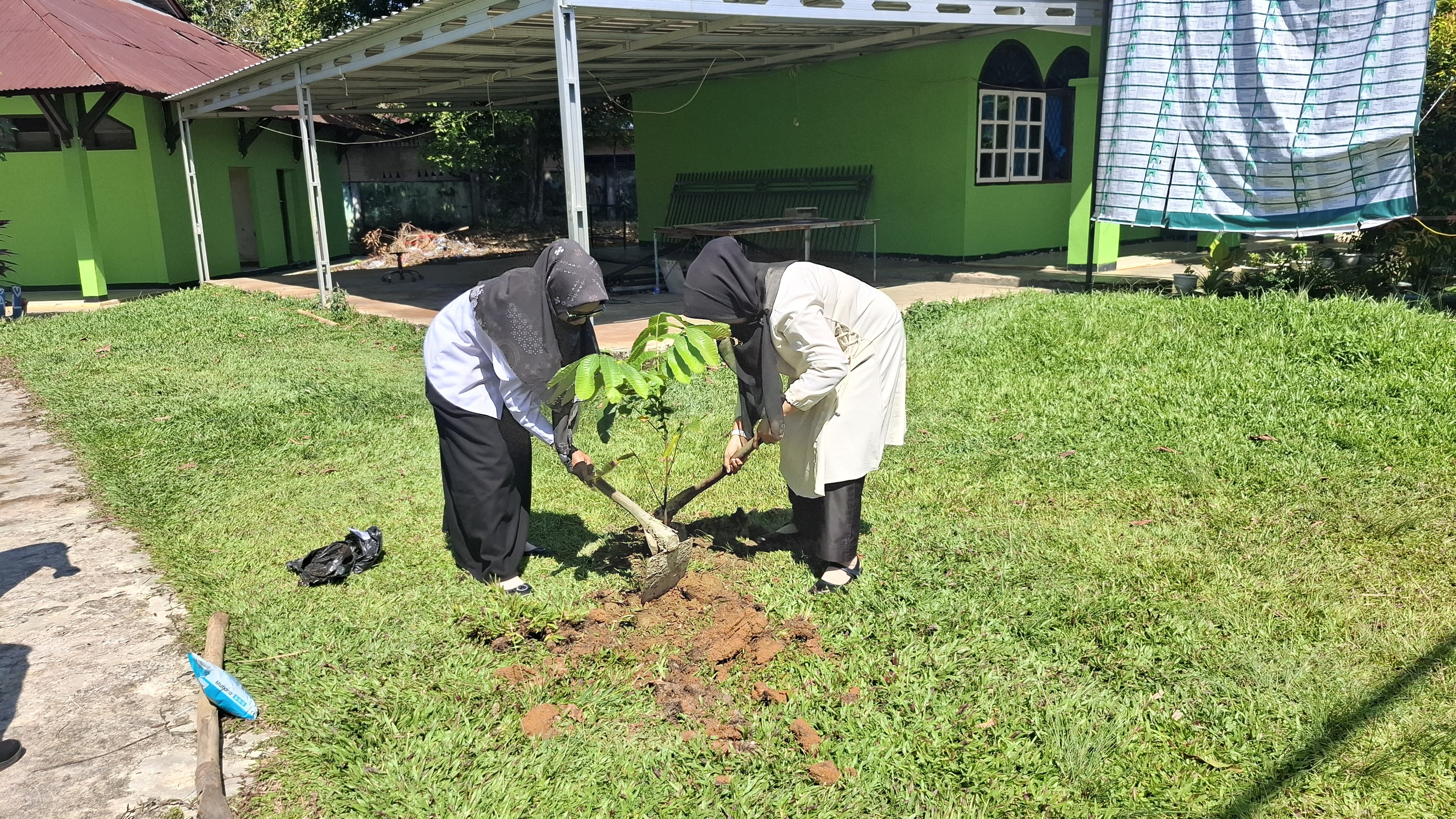 MAN 1 Bungo Sukseskan Program Penanaman Minimal 10 Pohon Matoa Sesuai Instruksi Kantor Kementerian Agama Bungo