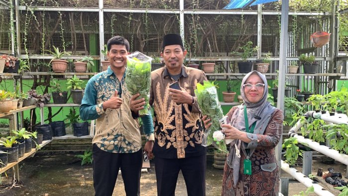 Pengawas Madrasah dan OSIM MAN 1 Bungo Panen Bayam Hidroponik
