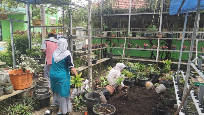 Guru MAN 1 Bungo Gotong Royong Benahi Green House Guru MAN 1 Bungo Gotong Royong Benahi Green House